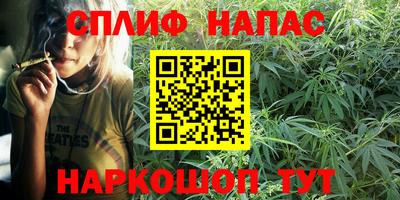 шишки Ленинск-Кузнецкий