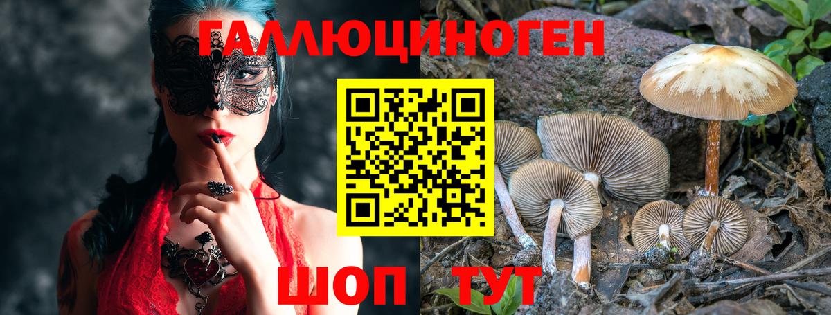 Галлюциногенные грибы ЛСД Елабуга