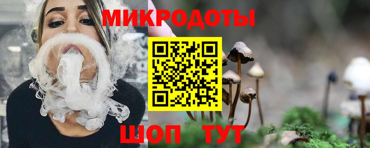 Галлюциногенные грибы мухоморы  Вход с VPN  Елабуга 